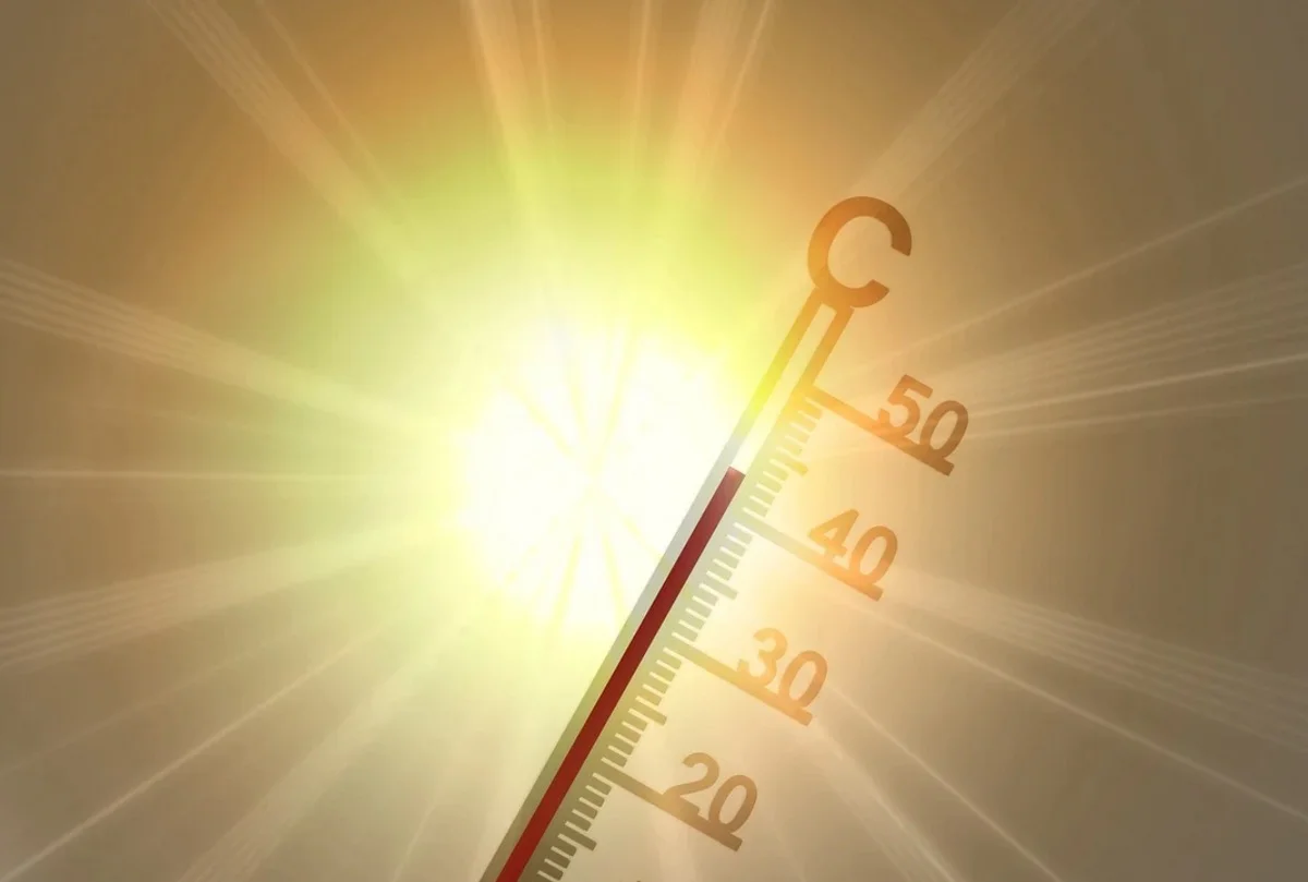 Фото: pixabay.com