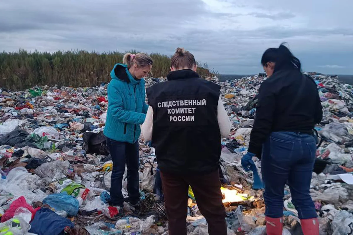 Фото: (с) следком Ленинградской области