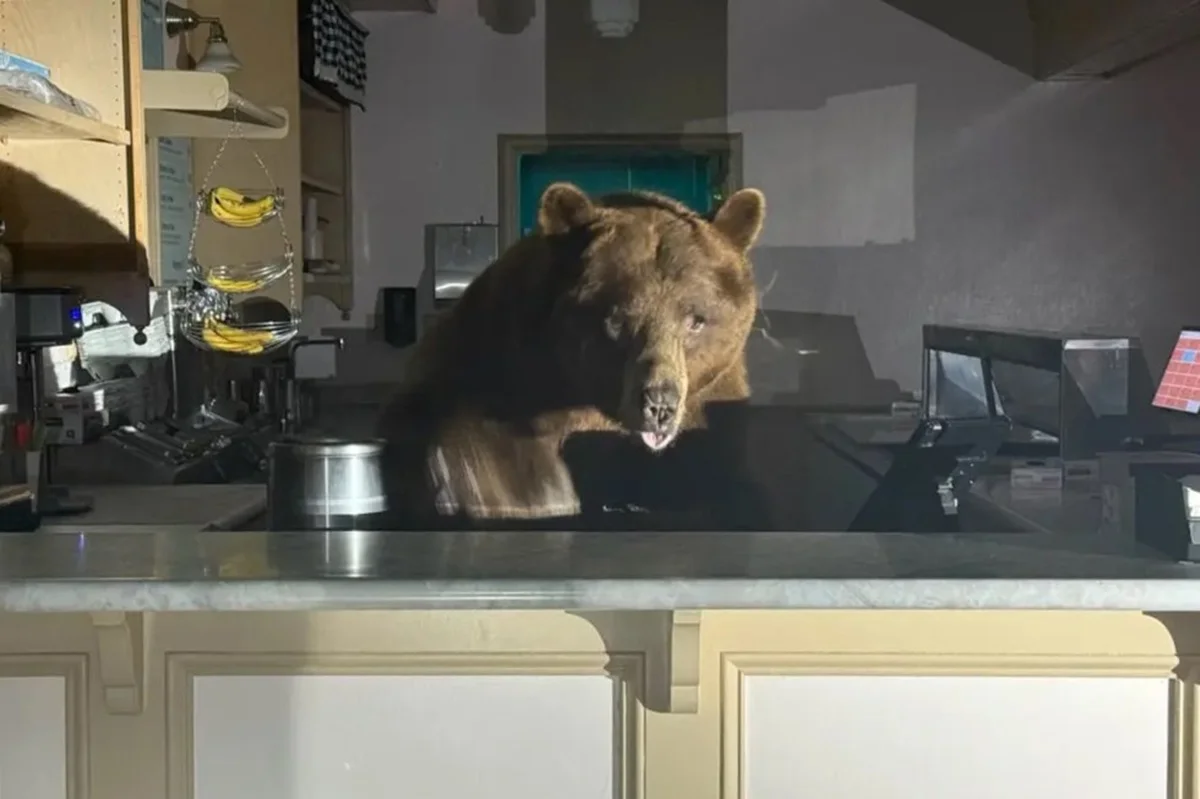 Фото: социальные сети