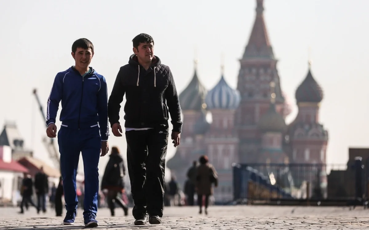 Фото:  Сергей Савостьянов/ТАСС