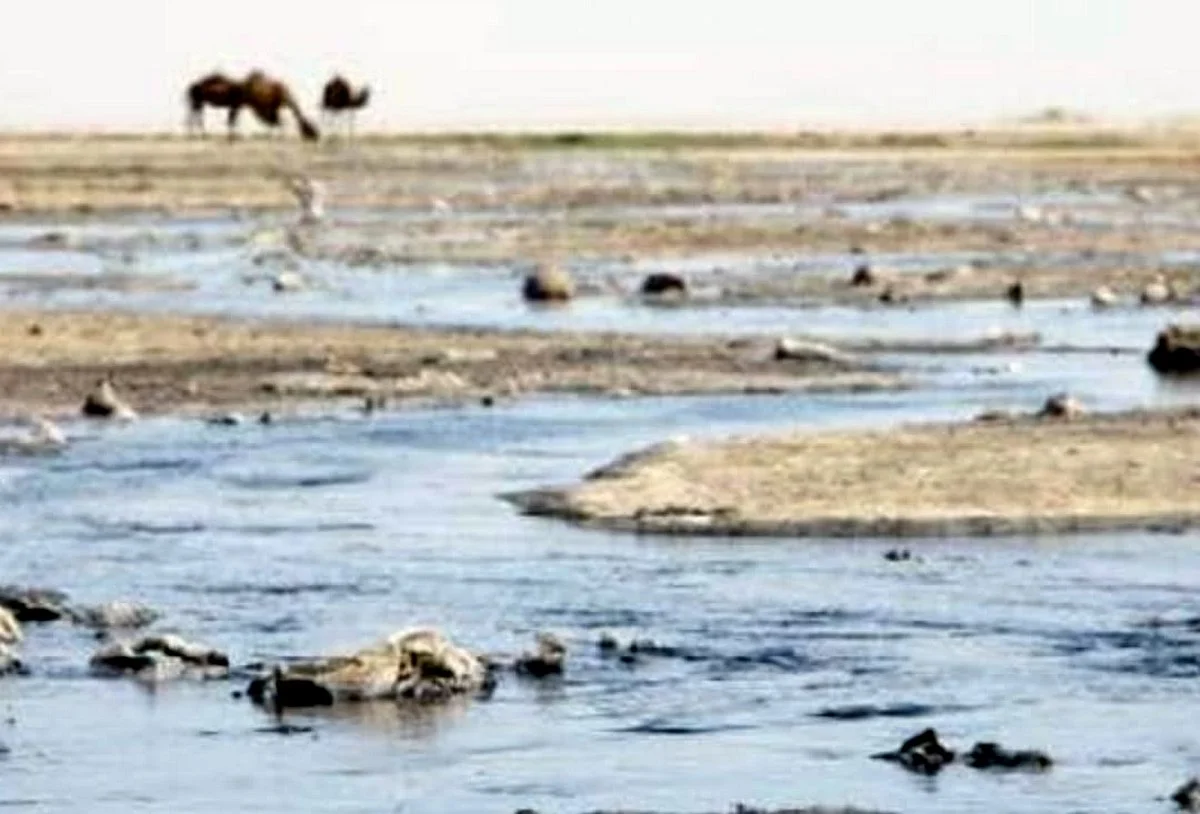 Фото НПУ «Эко Мангистау»