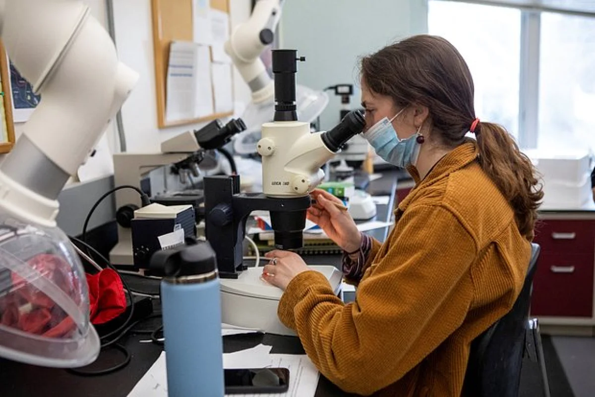 Фото: Lauren Owens Lambert / Reuters