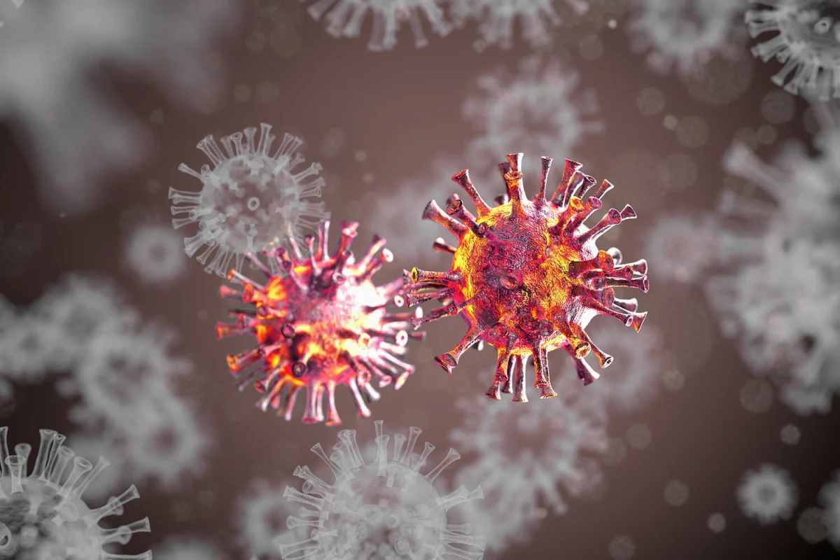 Фото:  Shutterstock