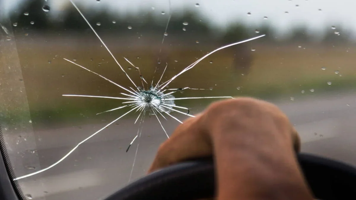 Фото: profile.ru