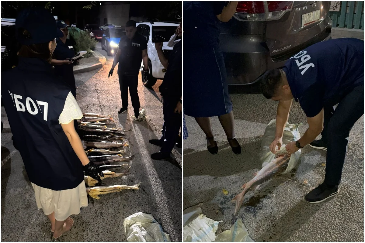 Фото департамента полиции региона