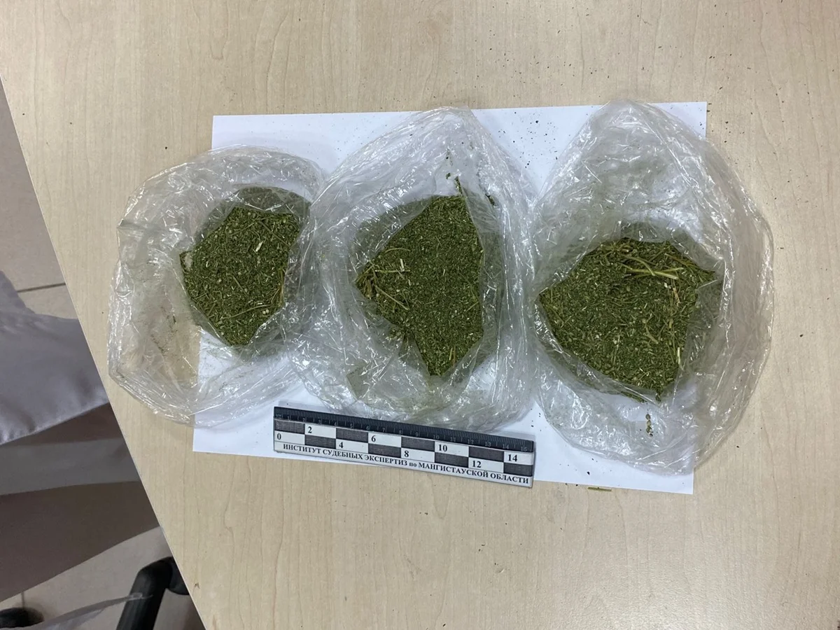 Фото пресс-службы ведомства