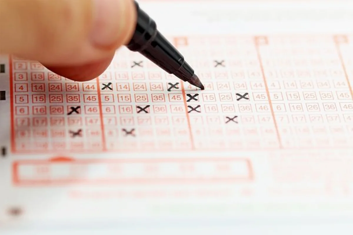 Фото: TopMicrobialStock / Shutterstock / Fotodom