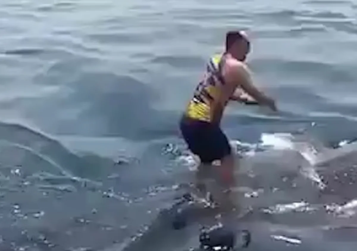 Фото: кадр видео