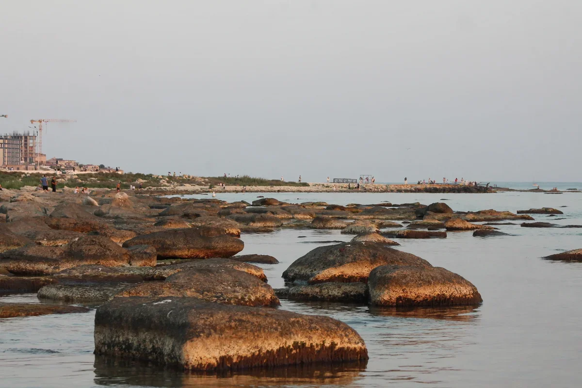 Фото из архива