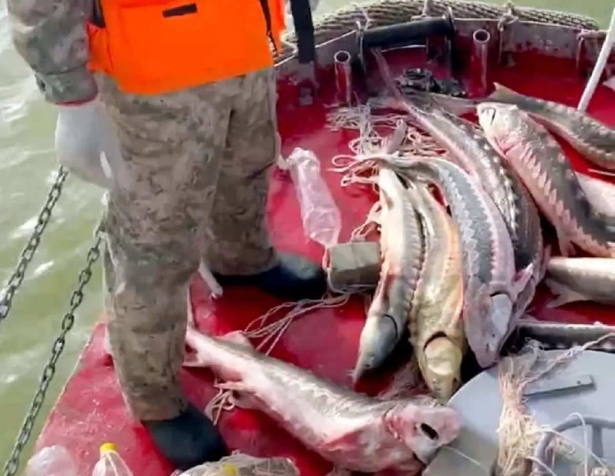 фото из архива Lada.kz