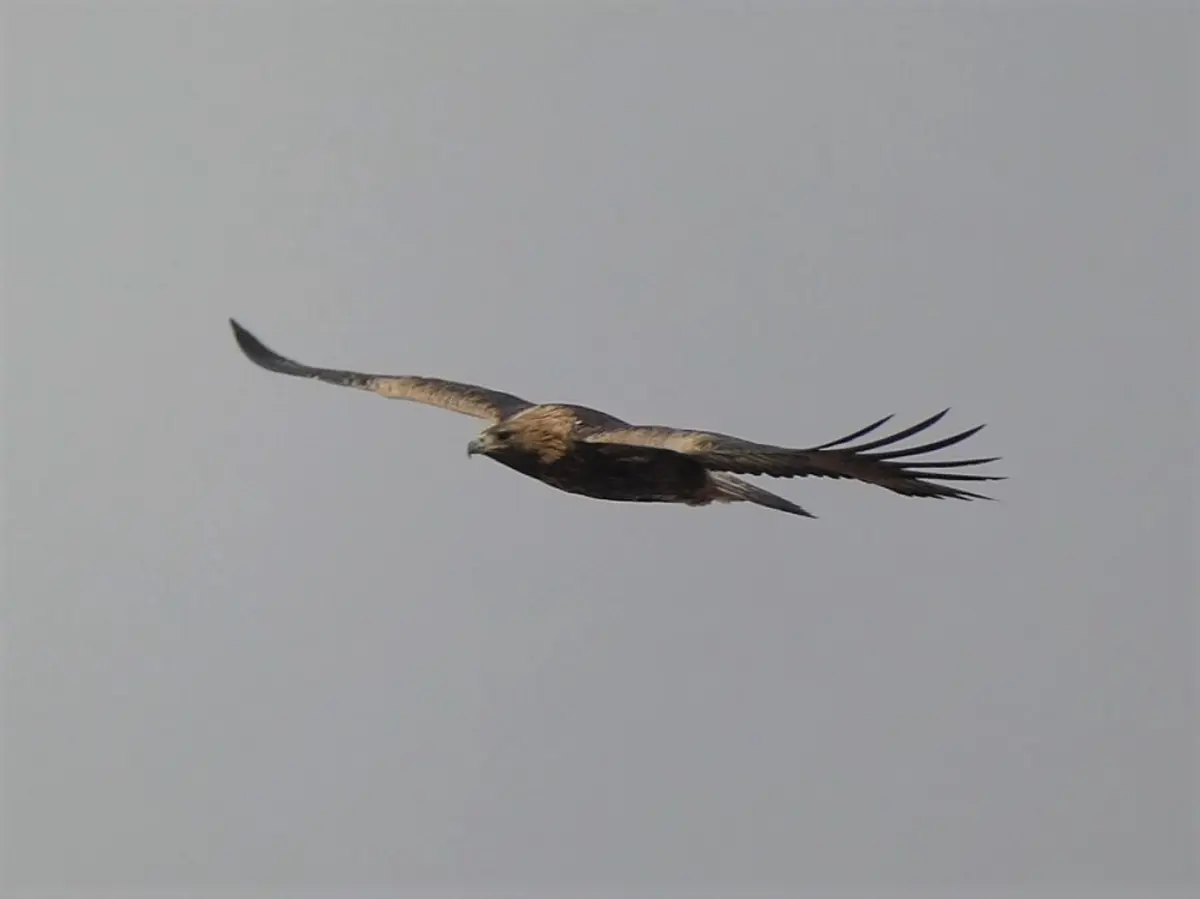 Фото Василия Бастаева из архива Lada.kz