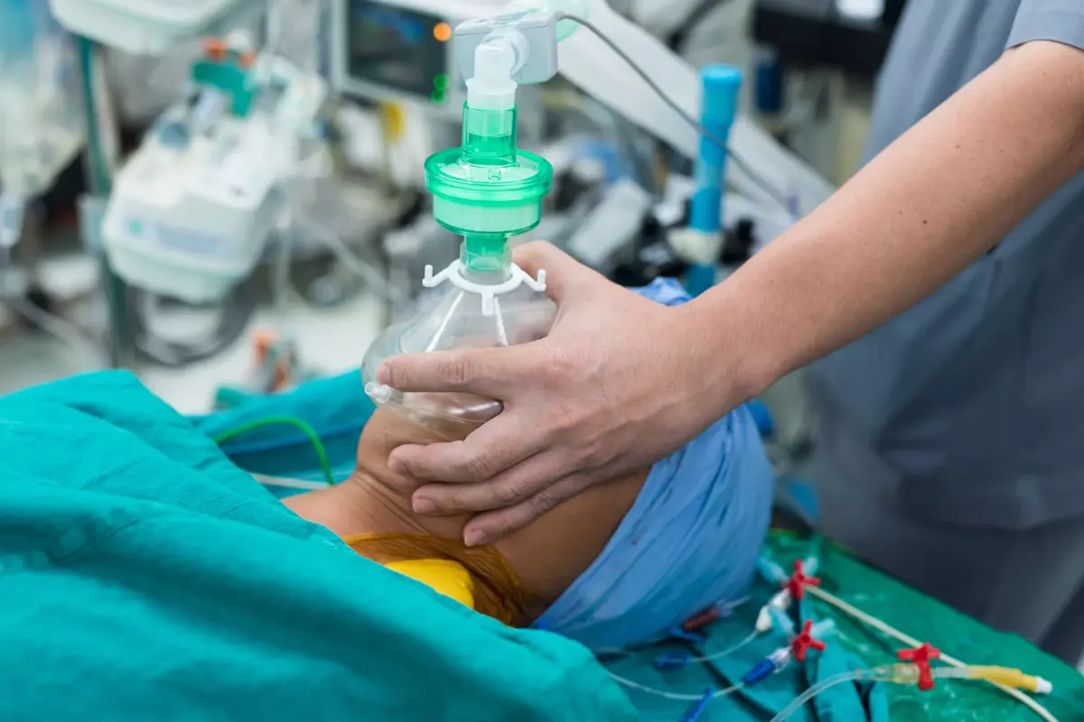 Фото:  Shutterstock