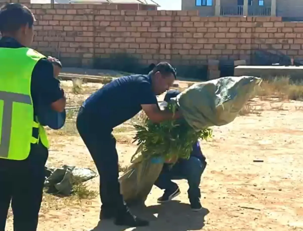 Фото: кадр видео