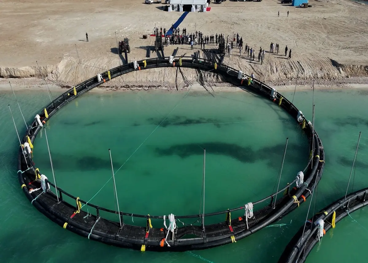 Фото пресс-службы ведомства