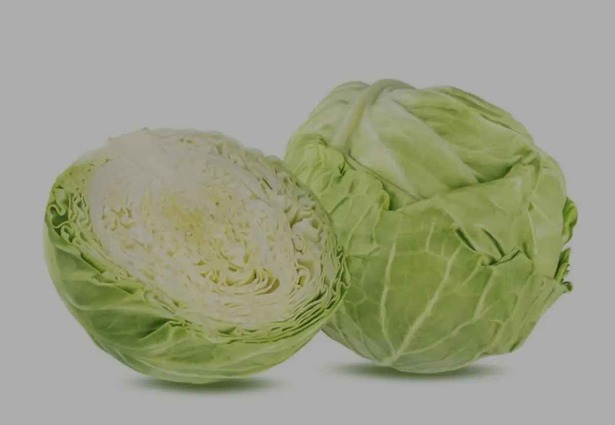 Фото с сайта: Marco.kz