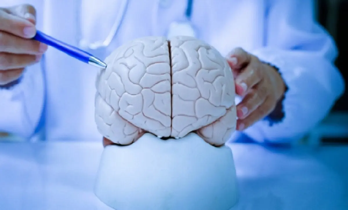 © Shutterstock/FOTODOM