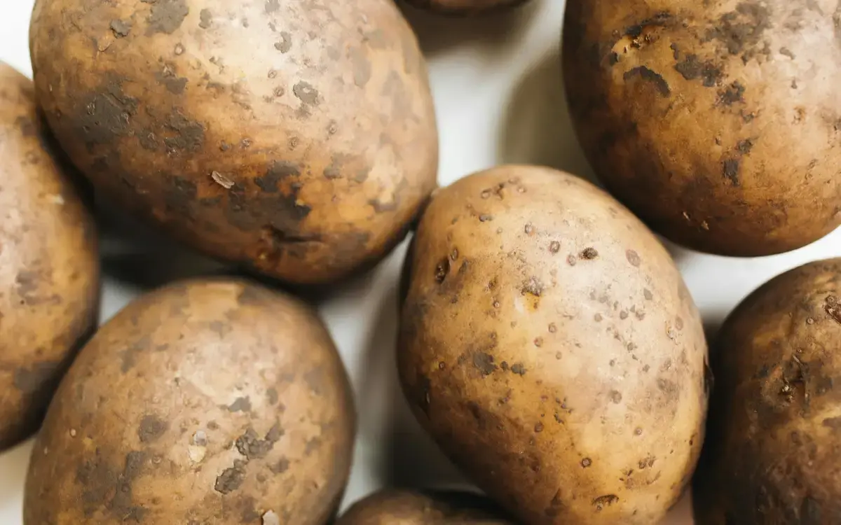 Фото: pexels.com