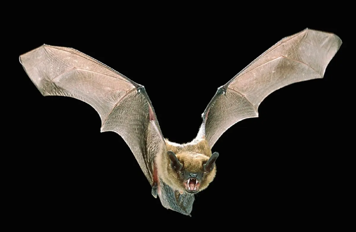 Фото с сайта belpressa.ru