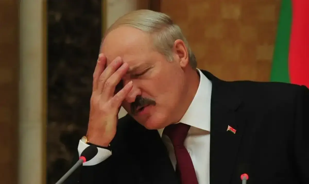 Фото с сайта hibiny.ru