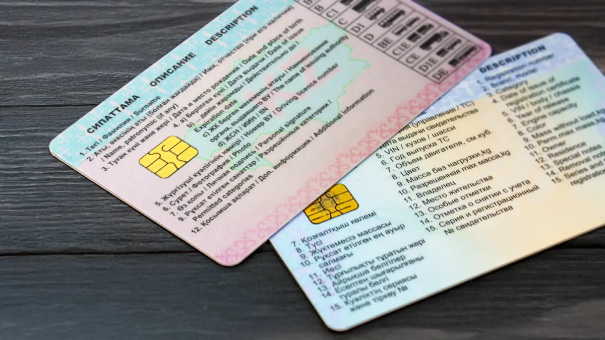 Фото: Гульша Рысканова