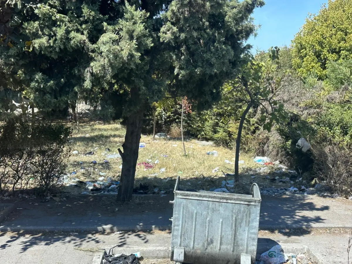 Фото предоставлено Алиной Краснянской