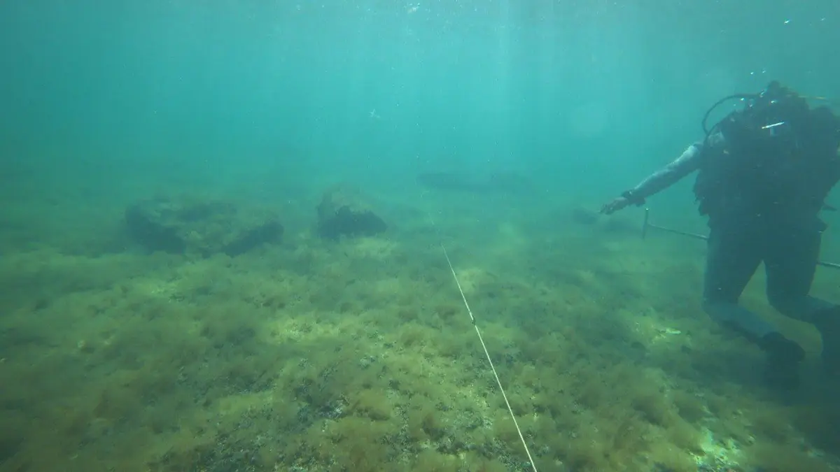 Источник фото: instagram.com/bagdatmussin