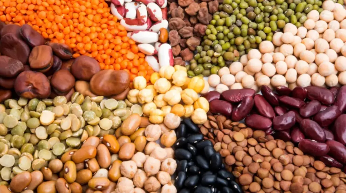 Фото:depositphotos.com