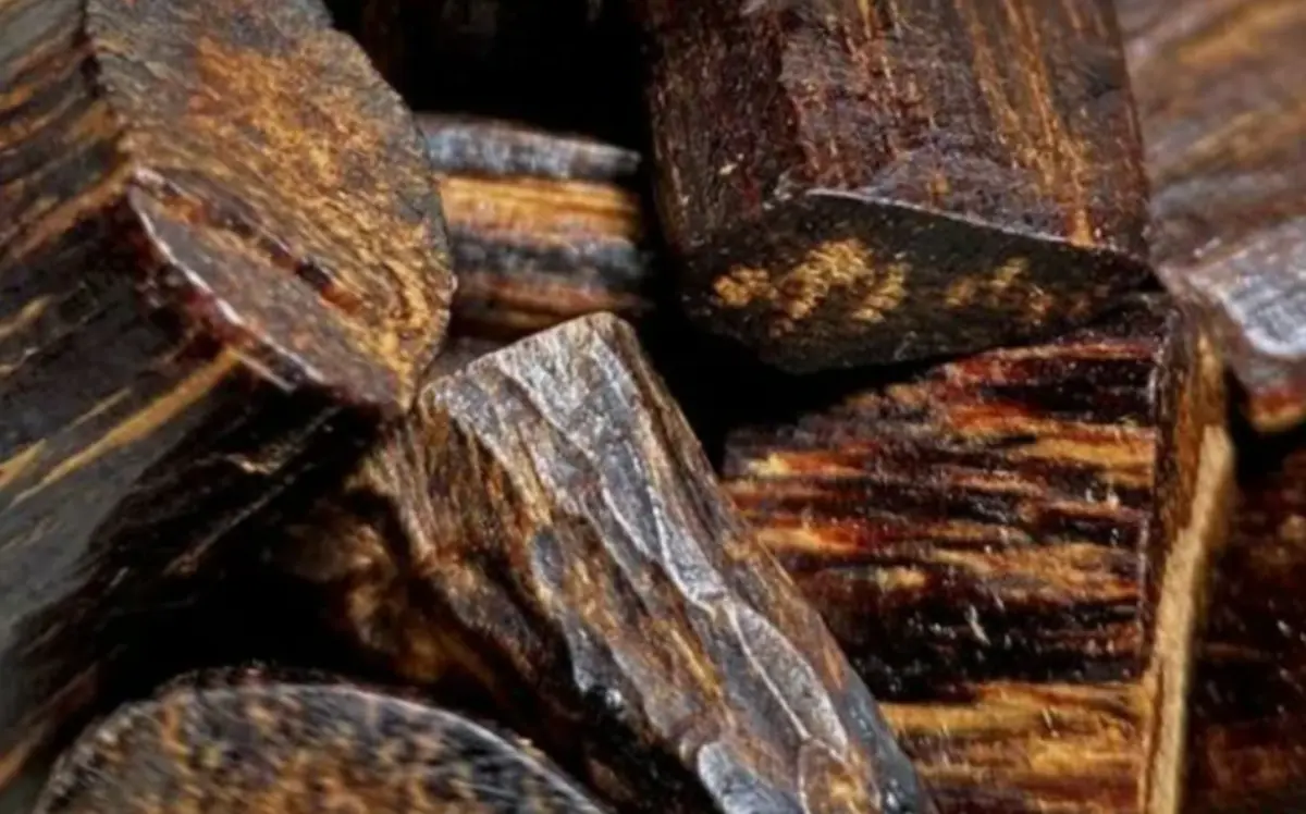 Фото: unsplash.com