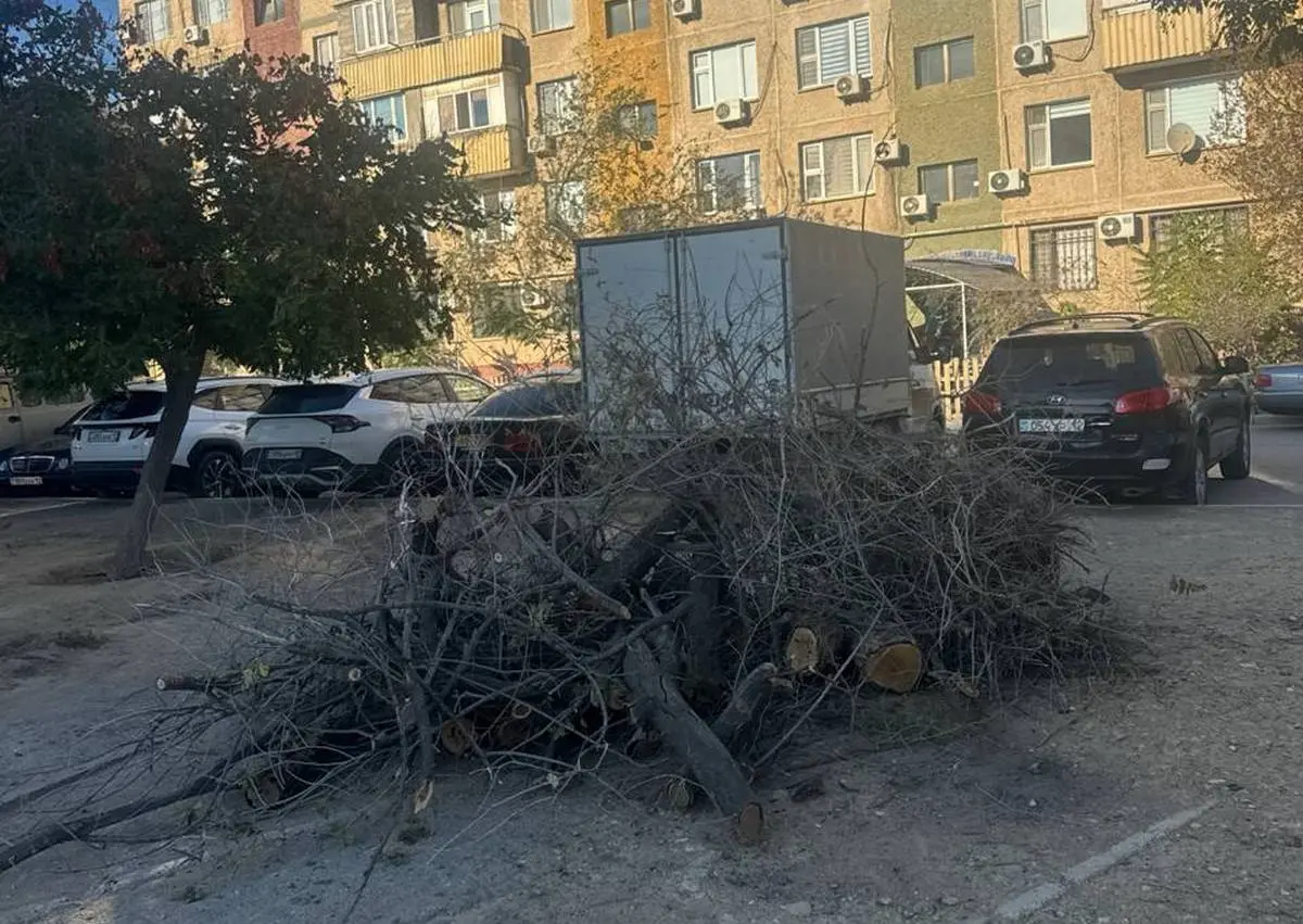 Фото жильцов дома №41 в 26 микрорайоне