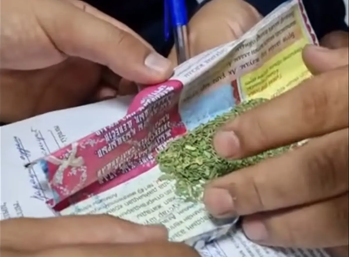 Фото: скриншот из видео