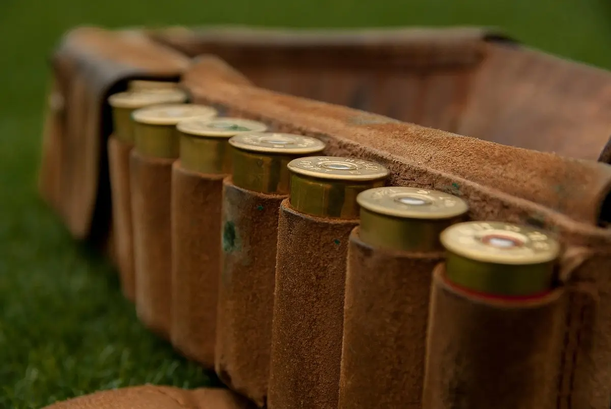 Фото: pixabay.com