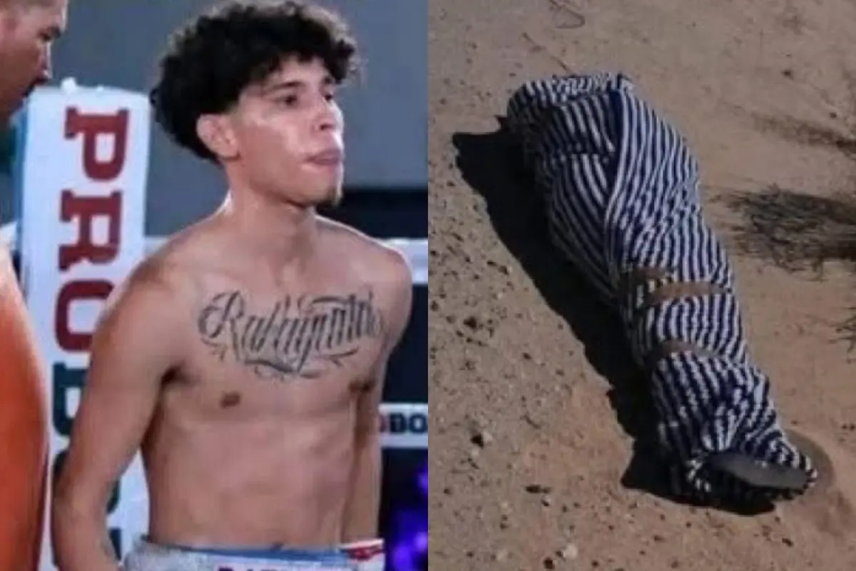 Фото из открытых источников