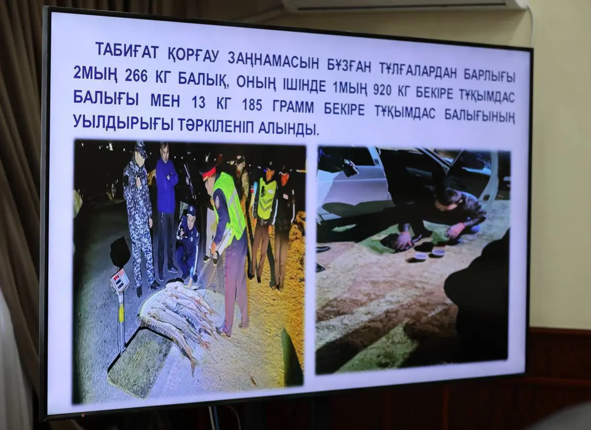 Фото: акимат Мангистауской области