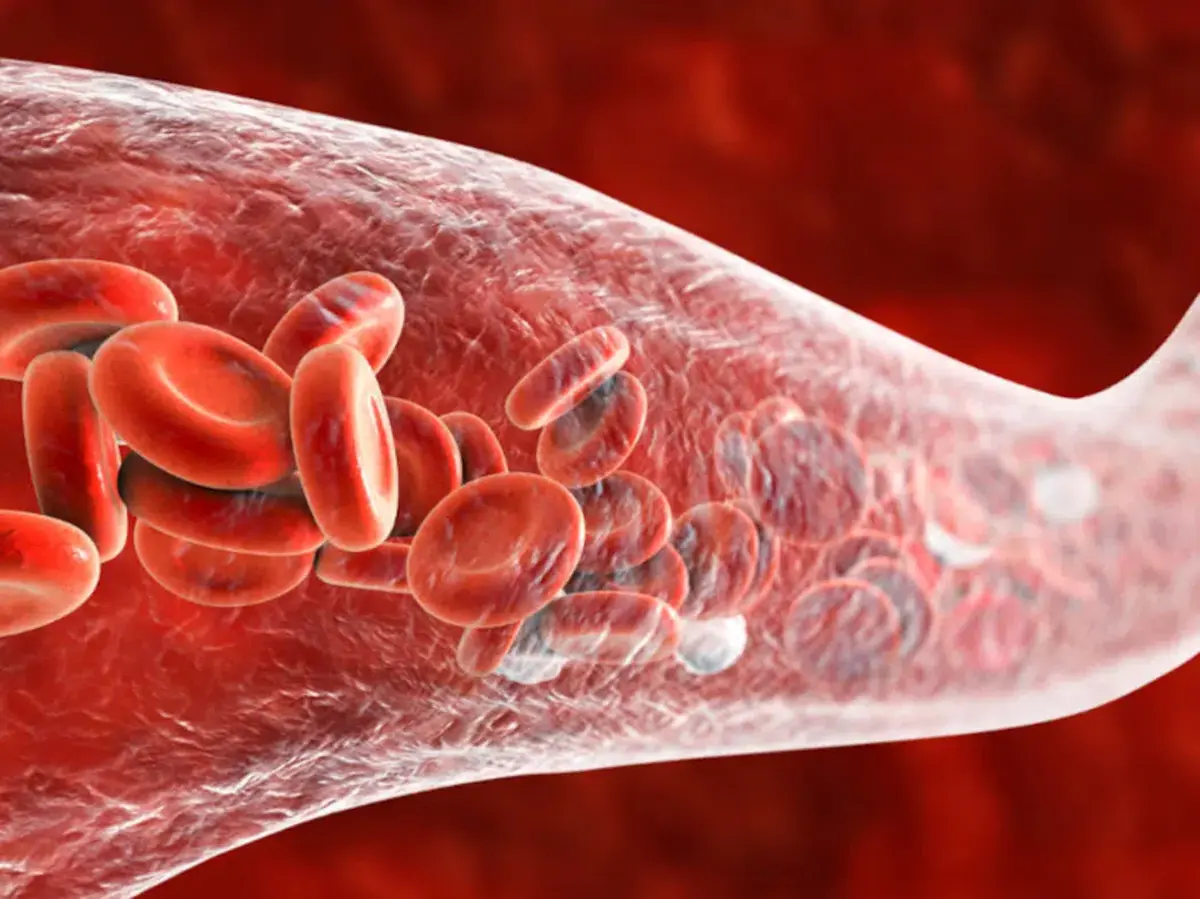 Иллюстрация с сайта findvit.com