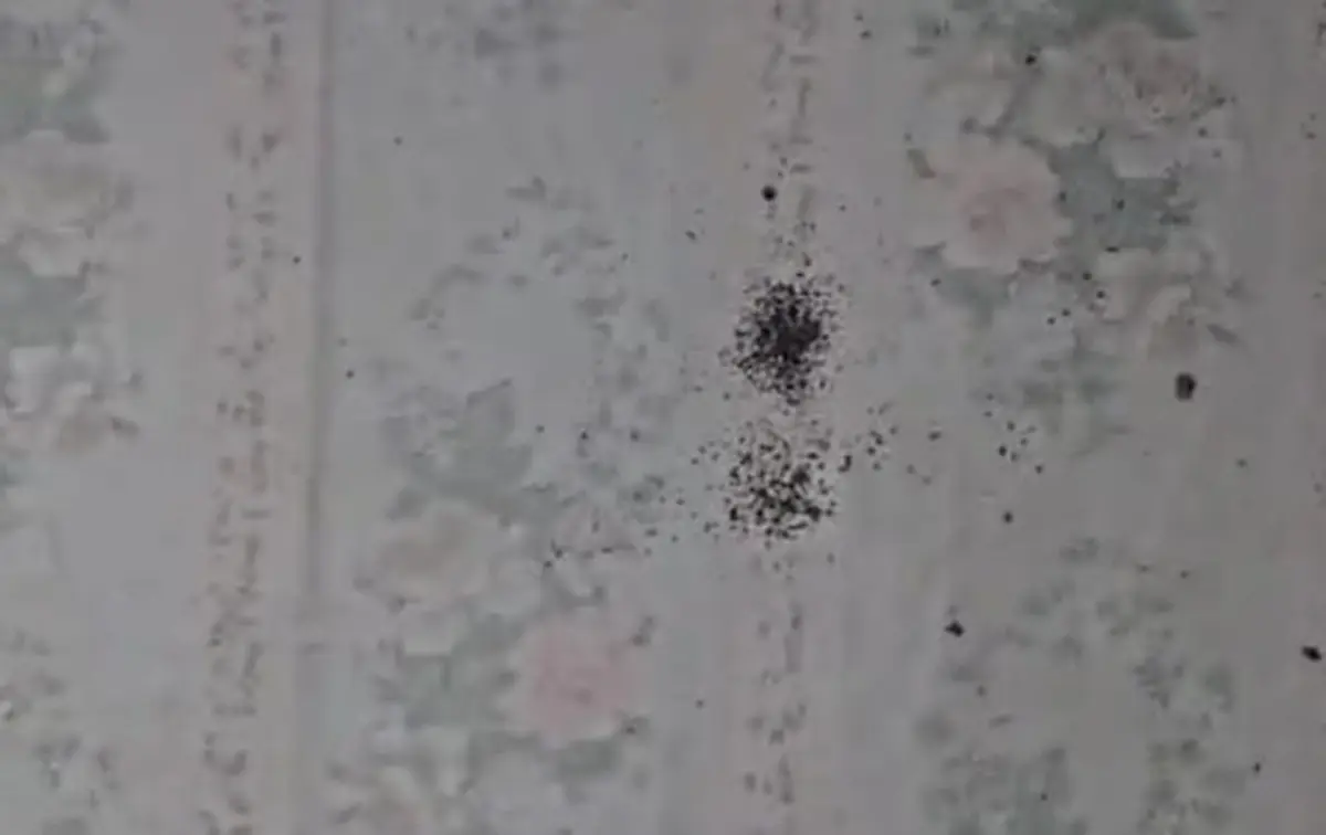 Фото: стоп-кадр из видео