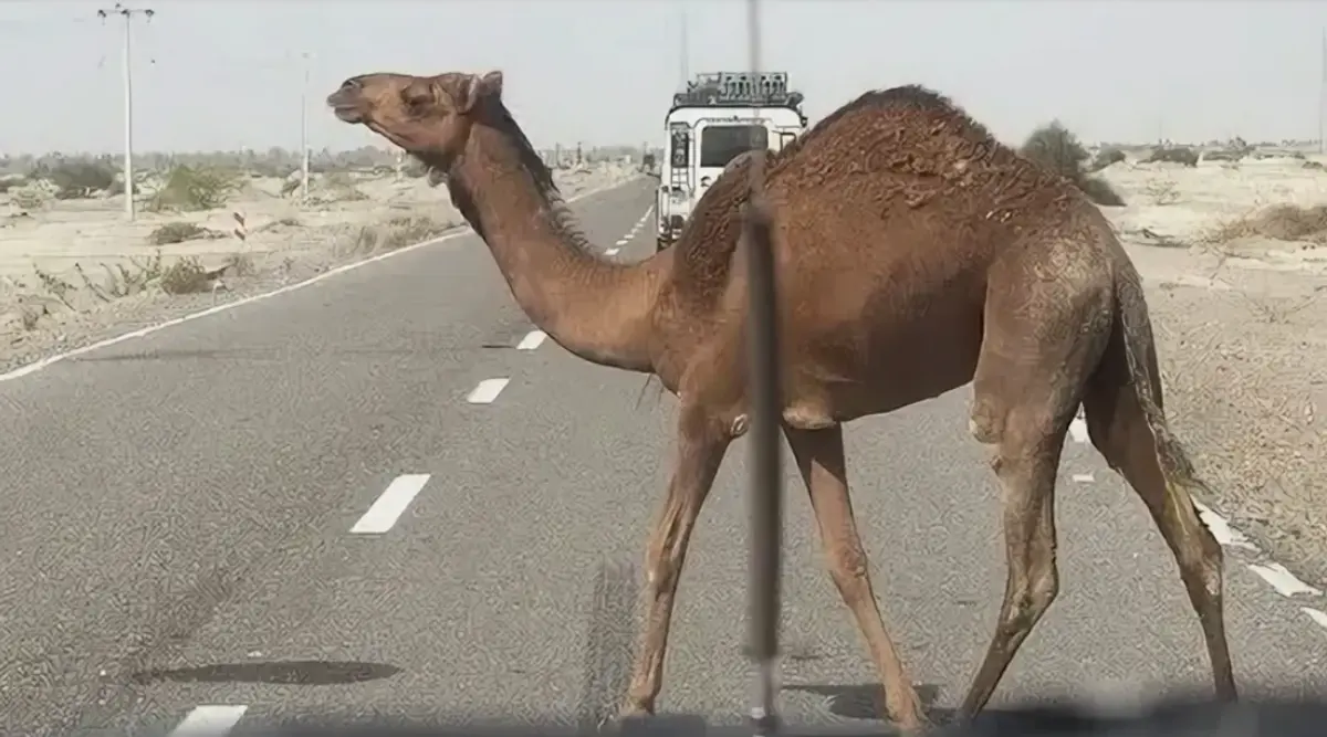 Фото: кадр YouTube