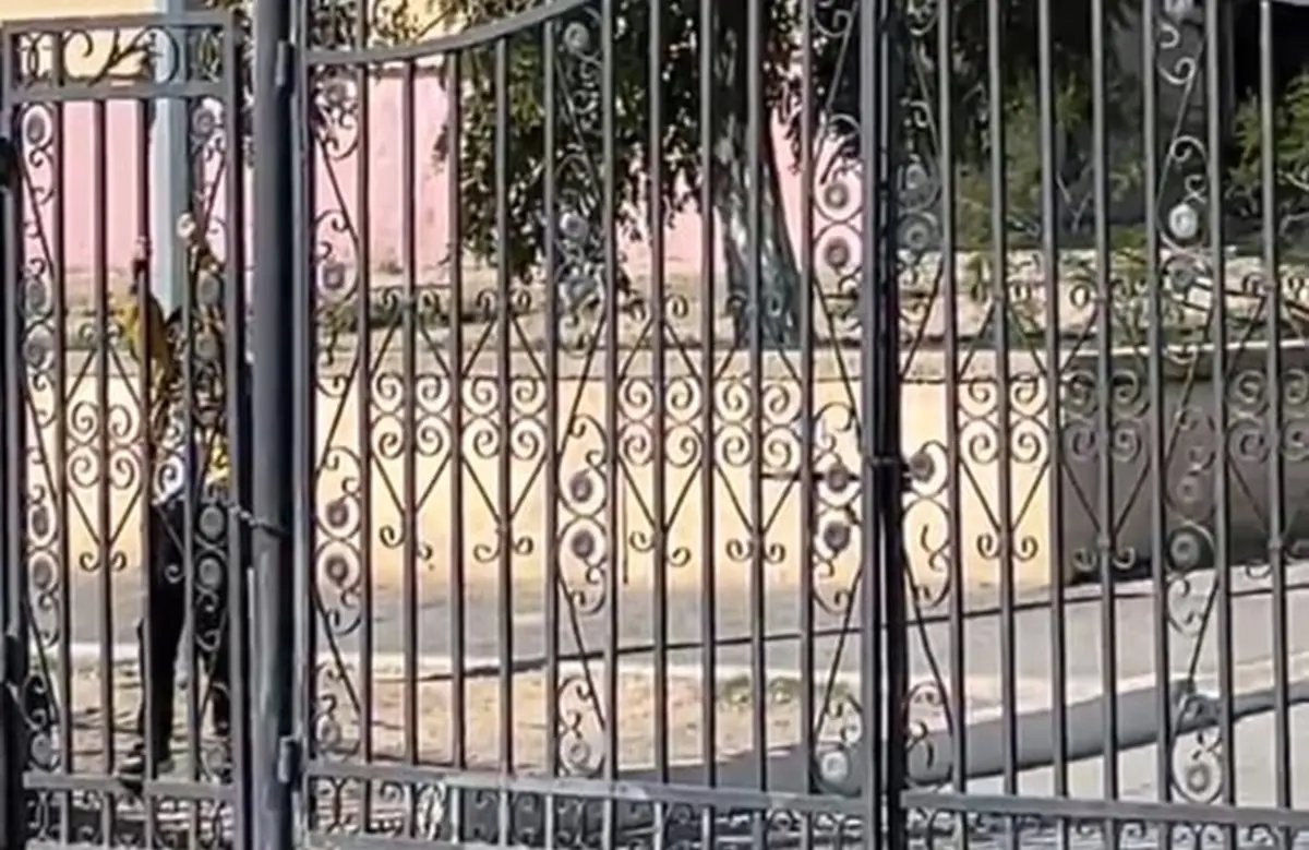 Фото: стоп-кадр из видео