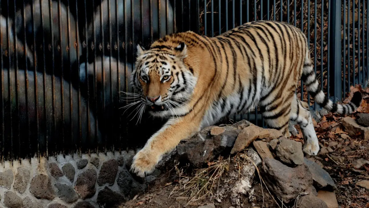 © Sputnik / Виталий Аньков