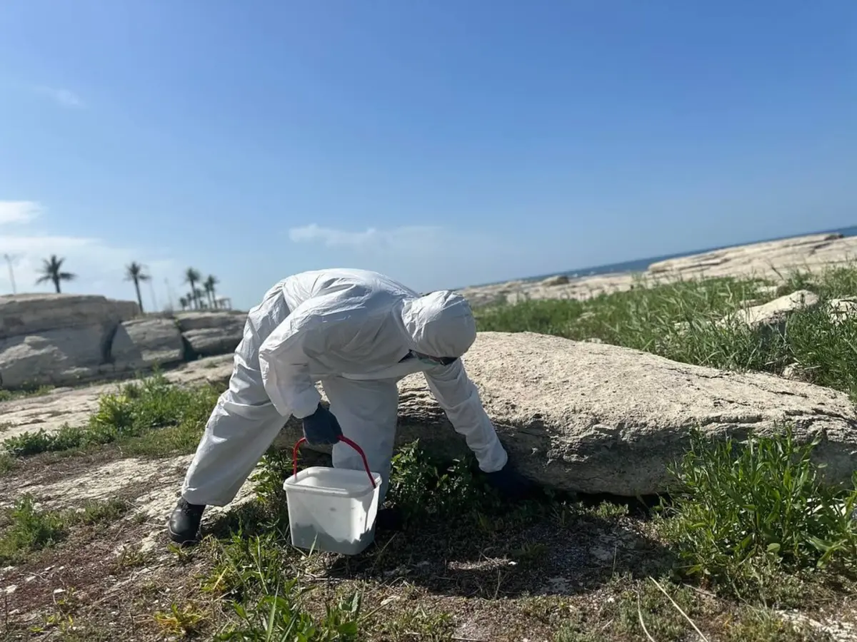 Фото акимата Актау