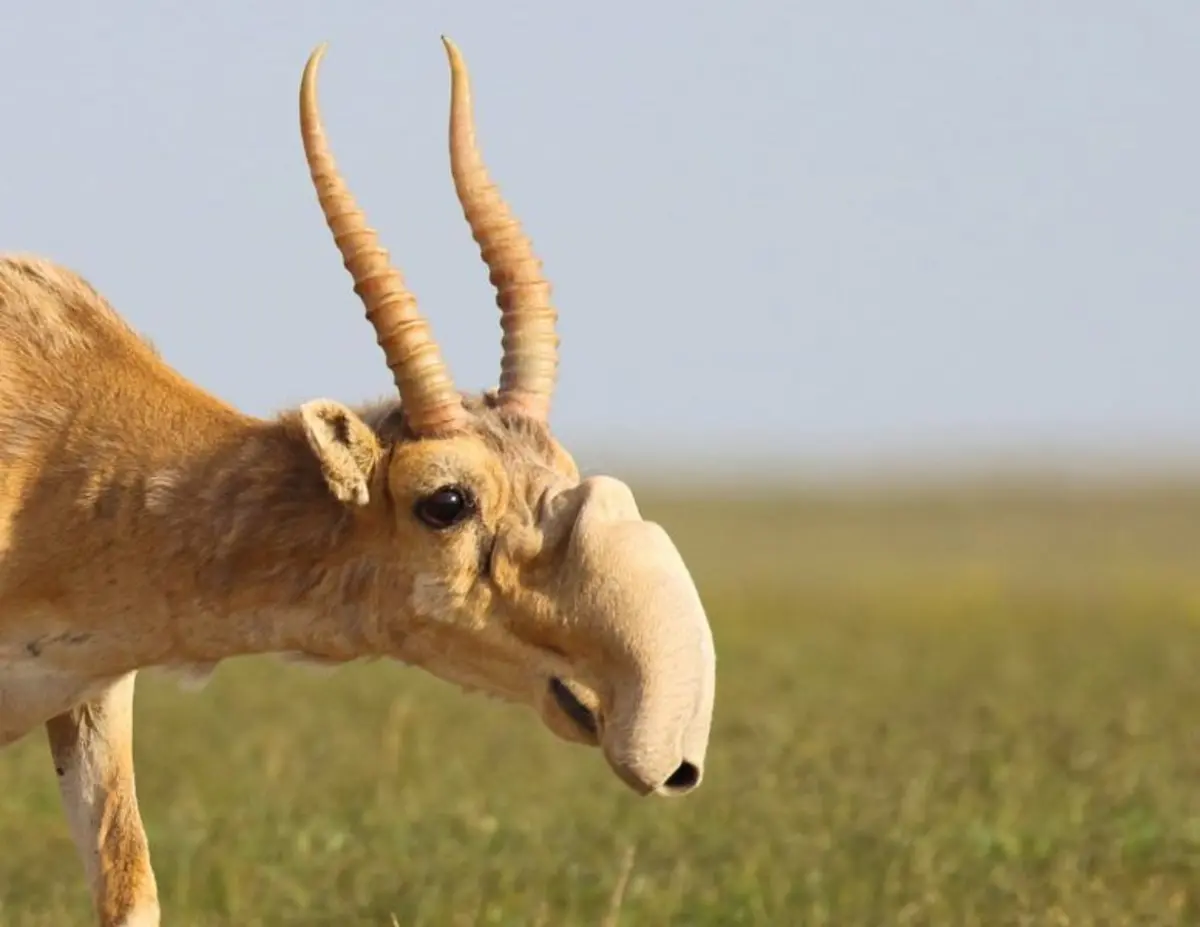 Фото: br.pinterest.com