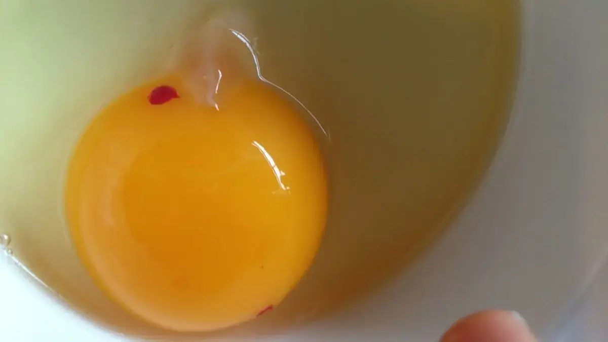 Фото: aksam.com.tr