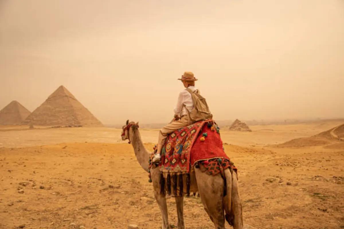 Фото pixabay.com