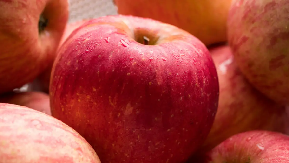 Фото pixabay.com