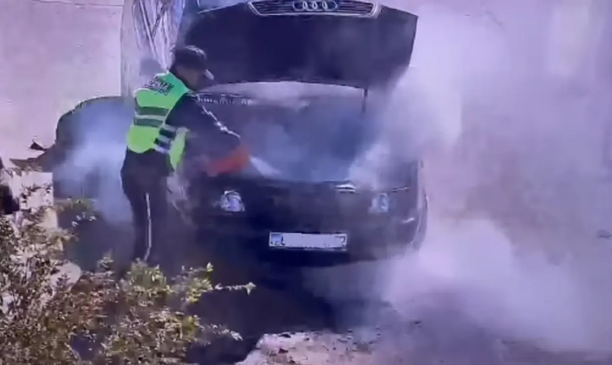 Фото: кадр видео