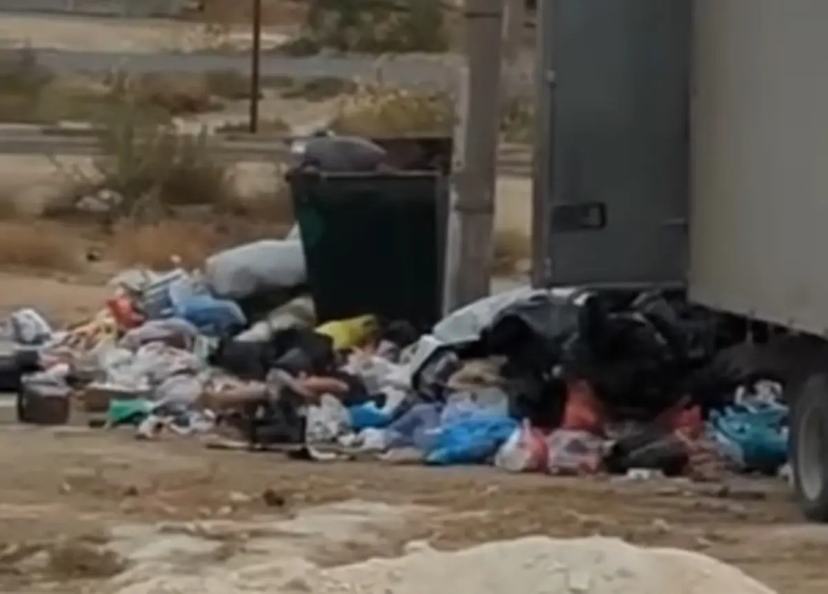 Фото: скриншот из видео