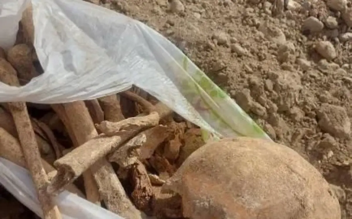 Фото: Андрей Литовченко