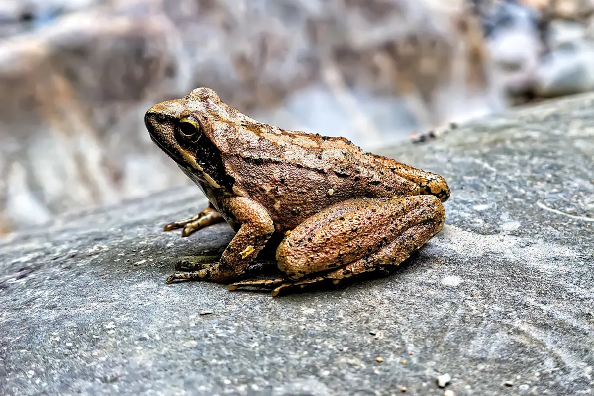 Фото: Christophe F/Shutterstock/FOTODOM