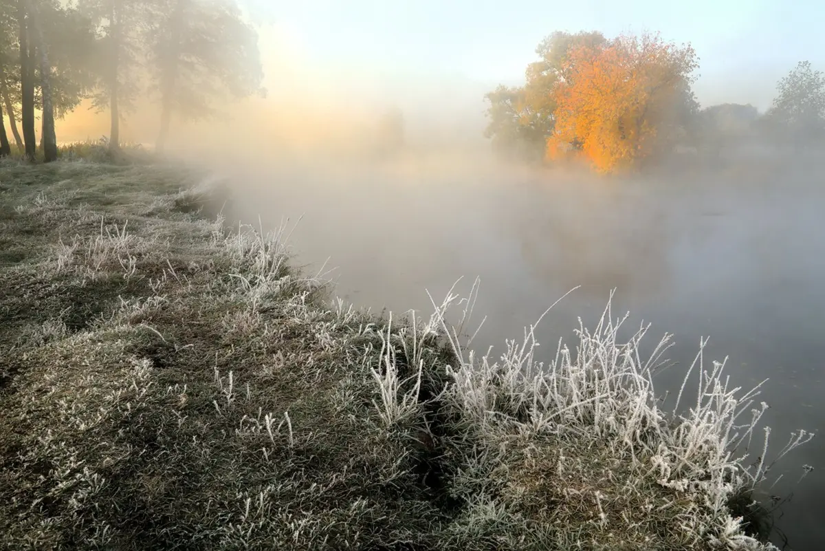 Фото: kartinkof.club