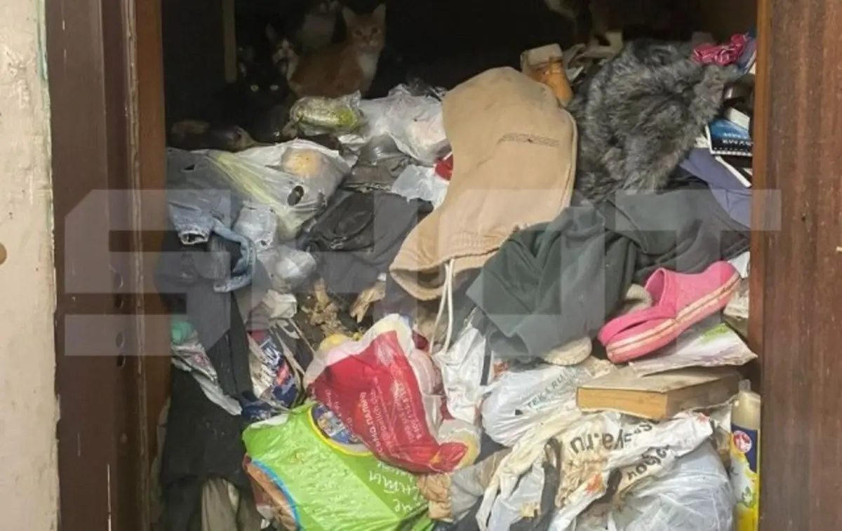 Кадр из видео