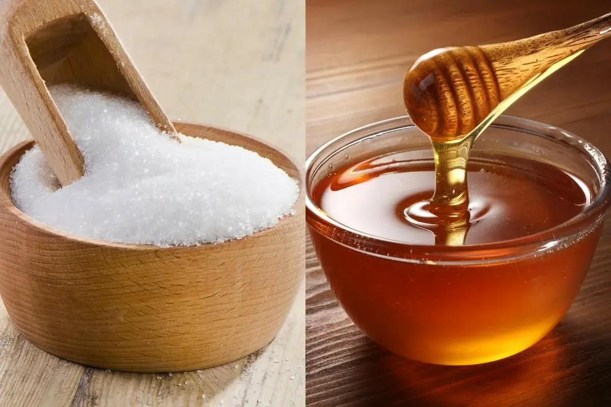 Фото: Eatwell.com